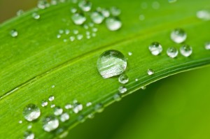 drip-339938_1280