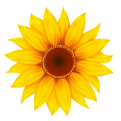 cropped-BWBS-favicon-512x512.png